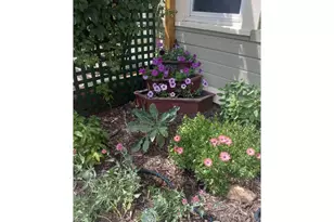 3730 Garfield Ave, Wellington, CO 80549 - Photo 19