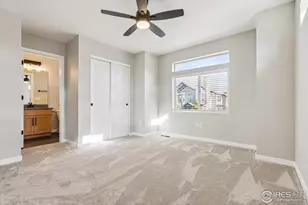 4241 Coriander St, Castle Rock, CO 80109 - Photo 17