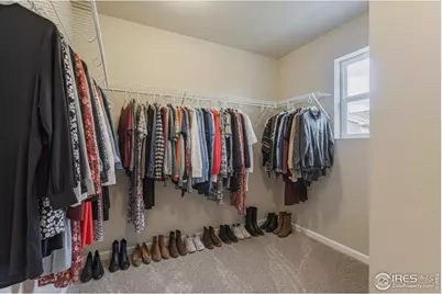 764 Wood Sorrel Ln, Fort Collins, CO 80524 - Photo 9
