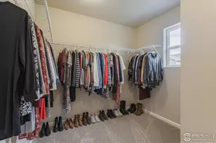 764 Wood Sorrel Ln, Fort Collins, CO 80524 - Photo 9