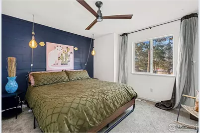 976 Monroe Ave N, Loveland, CO 80537 - Photo 11