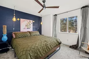 976 Monroe Ave N, Loveland, CO 80537 - Photo 11