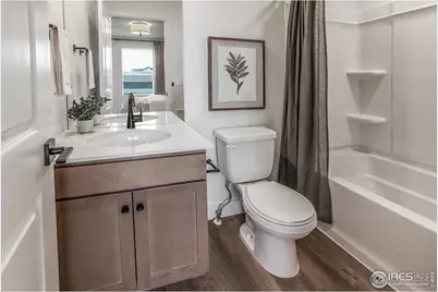 937 Trumpet Ln, Windsor, CO 80550 - Photo 31