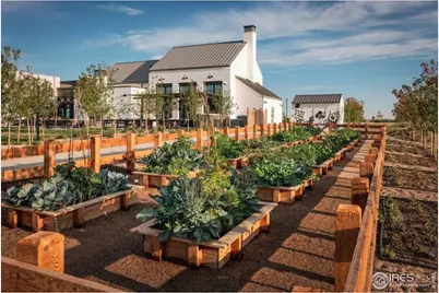 2703 Blue Iris Dr, Loveland, CO 80538 - Photo 43