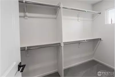 943 Trumpet Ln, Windsor, CO 80550 - Photo 31