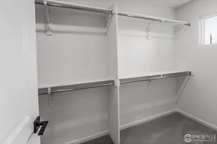 943 Trumpet Ln, Windsor, CO 80550 - Photo 31