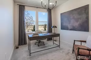 913 Trumpet Ln, Windsor, CO 80550 - Photo 5