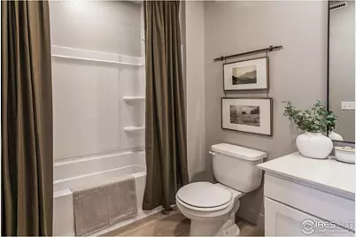 913 Trumpet Ln, Windsor, CO 80550 - Photo 5