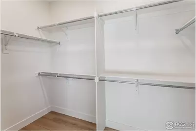 913 Trumpet Ln, Windsor, CO 80550 - Photo 29