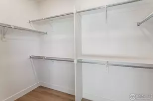 913 Trumpet Ln, Windsor, CO 80550 - Photo 29