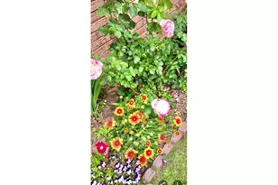 1153 25th Ave, Greeley, CO 80634 - Photo 21