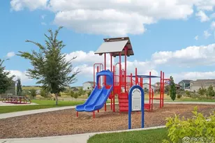 551 Capitol Reef Ct, Berthoud, CO 80513 - Photo 41