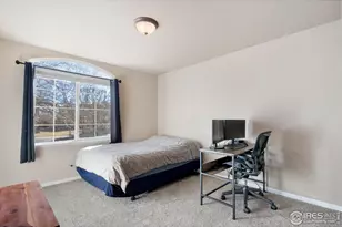 8945 Smoke Signal Way, Wellington, CO 80549 - Photo 23