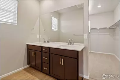 1629 Yampa River Dr, Windsor, CO 80550 - Photo 13