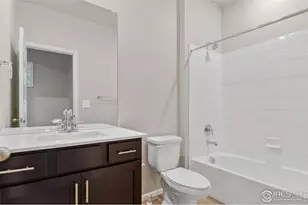 1629 Yampa River Dr, Windsor, CO 80550 - Photo 19