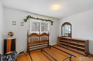 4433 Julian Ct, Fort Collins, CO 80528 - Photo 15