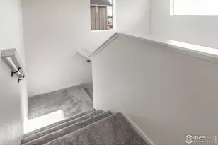 768 Chatter Rd, Windsor, CO 80550 - Photo 19