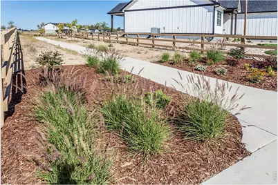 768 Chatter Rd, Windsor, CO 80550 - Photo 3