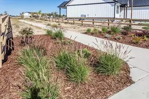 768 Chatter Rd, Windsor, CO 80550 - Photo 3