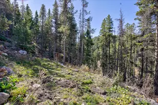 400 Sun Flower Dr, Black Hawk, CO 80422 - Photo 27