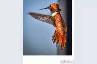 555 James Park Trl, Loveland, CO 80537 - Photo 35