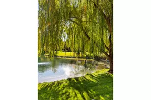 5225 White Willow Dr, Fort Collins, CO 80528 - Photo 47