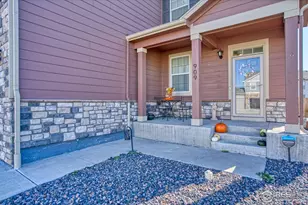 909 Charlton Dr, Windsor, CO 80550 - Photo 27