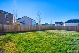 909 Charlton Dr, Windsor, CO 80550 - Photo 29