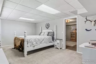 5221 County Road 16 3/4, Longmont, CO 80504 - Photo 23