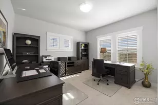 4304 Ardglass Ln, Timnath, CO 80547 - Photo 23