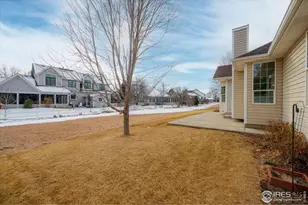 303 Pelican Cove, Windsor, CO 80550 - Photo 31