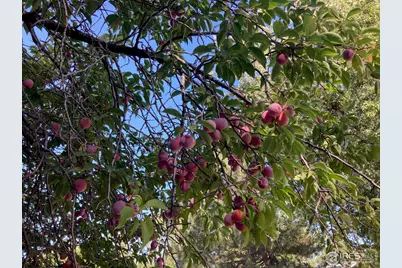 4559 Beachcomber Ct, Boulder, CO 80301 - Photo 19