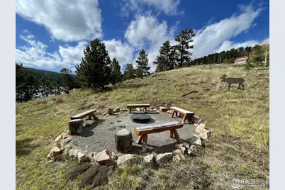 463 Nowata Dr, Red Feather Lakes, CO 80545 - Photo 17
