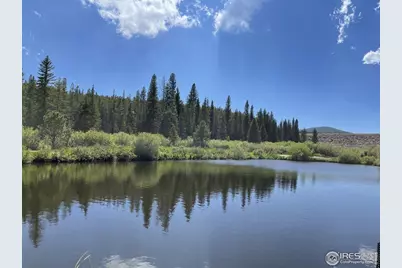 463 Nowata Dr, Red Feather Lakes, CO 80545 - Photo 41