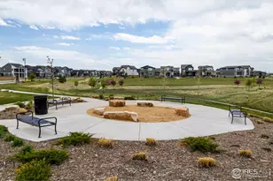 6116 Dutch Dr, Timnath, CO 80547 - Photo 45