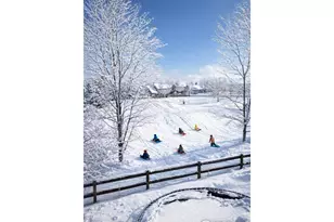 7144 Woodrow Dr, Fort Collins, CO 80525 - Photo 47