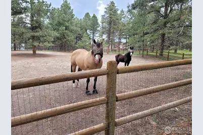 4673 Pinon Dr, Elizabeth, CO 80107 - Photo 9