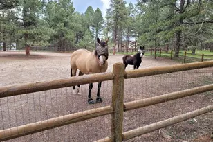 4673 Pinon Dr, Elizabeth, CO 80107 - Photo 9