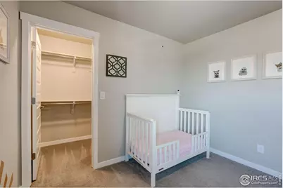 2137 Honeybee Dr, Windsor, CO 80550 - Photo 25