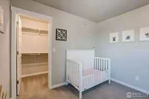 2137 Honeybee Dr, Windsor, CO 80550 - Photo 25