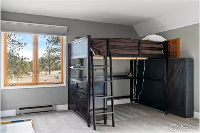 100 S Cucharas Mountain Ct, Livermore, CO 80536 - Photo 33