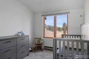 100 S Cucharas Mountain Ct, Livermore, CO 80536 - Photo 27