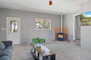 100 S Cucharas Mountain Ct, Livermore, CO 80536 - Photo 31