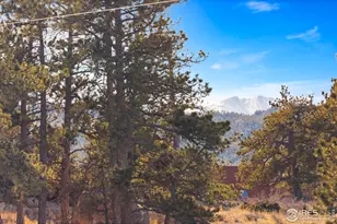 100 S Cucharas Mountain Ct, Livermore, CO 80536 - Photo 41