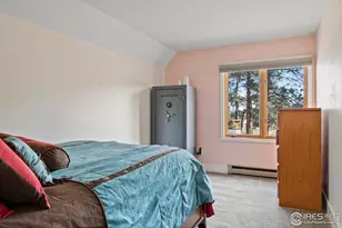 100 S Cucharas Mountain Ct, Livermore, CO 80536 - Photo 35