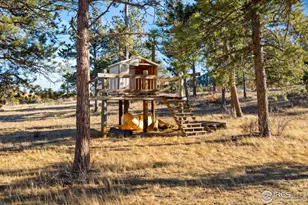 100 S Cucharas Mountain Ct, Livermore, CO 80536 - Photo 43