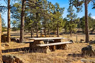 100 S Cucharas Mountain Ct, Livermore, CO 80536 - Photo 47