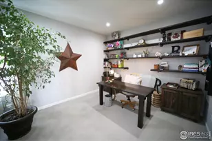 8241 White Owl Ct, Windsor, CO 80550 - Photo 5