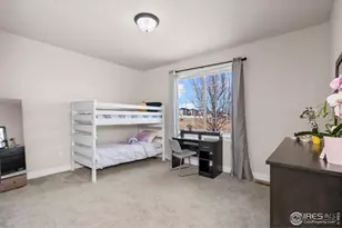 611 Gore Range Dr, Severance, CO 80550 - Photo 25