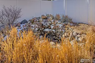 1223 Chilcott St, Berthoud, CO 80513 - Photo 29